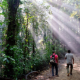 Udawatta Kele Sanctuary