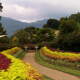 Hakgala Botanical Gardens