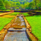 Ancient Water Gardens