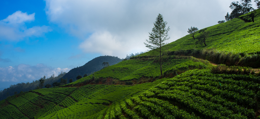Ella, Sri Lanka
