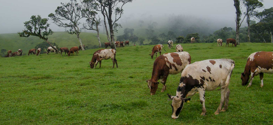 Ella, Sri Lanka
