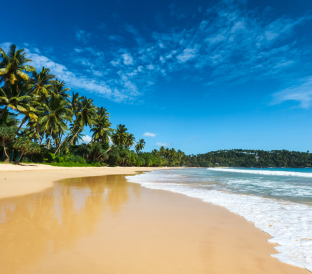 Beach and Relaxation