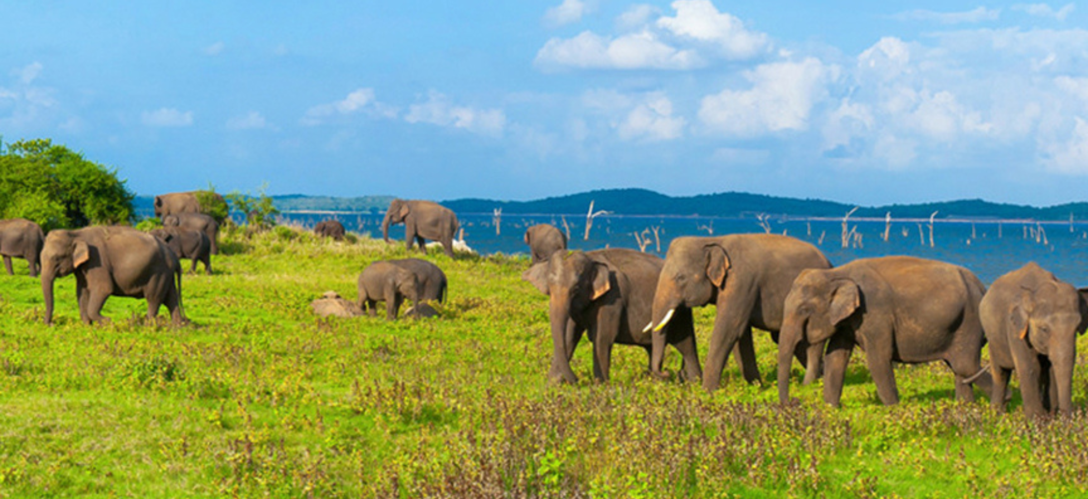 Ella, Sri Lanka